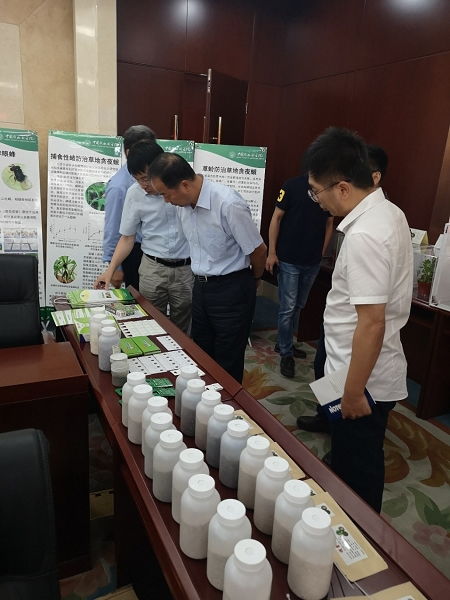 天敵昆蟲防控技術(shù)研發(fā)項目通過中期檢查，網(wǎng)絡(luò)技術(shù)賦能綠色農(nóng)業(yè)發(fā)展